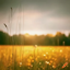 Mystical Meadows logo