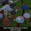 More Umbrella Variations in World (with CC-traits) logo