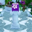 Plumeria & Kava Light logo