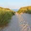 The Sandy Path logo