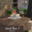 Wood Floor #4