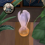 Gradient Color Vase #19 Samtuse963 logo