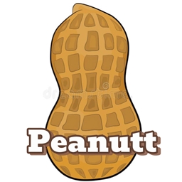 Peanuture logo
