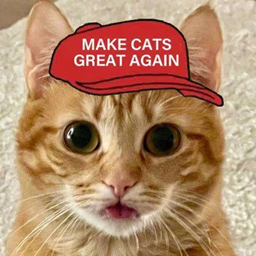 CatsWithHats project image