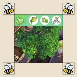Harvest No Group Interaction
