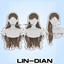 LIN-DIAN Three different styles of women’s long hair set logo