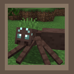 Cuter Looking Spiders