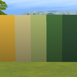 Savanna