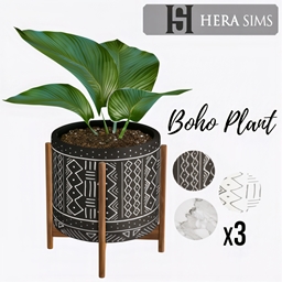 Boho plant #1
