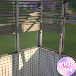 The Thin window & Door logo