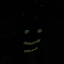 The Forest Dwellers logo