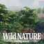 Wild NATURE logo