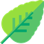 HealingStorm's Minty logo