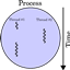 WoWThreads logo