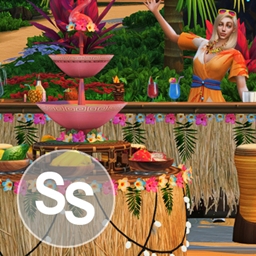 Hawaiian Style Party Set logo