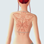 Back tattoo 04 logo