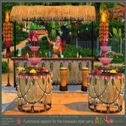 Hawaiian Style Party Set By Somik and Severinka Spanish Translation