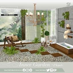 Inner Garden Plants 🌿🍃