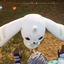 Terriermon