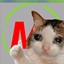MISTOKI logo
