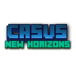 Casus project image
