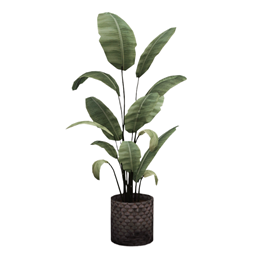Single Object - Biruba Bedside Plant logo