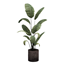 Single Object - Biruba Bedside Plant logo