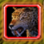 Pet Summ Check