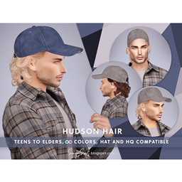 SONYASIMS - HUDSON HAIR logo