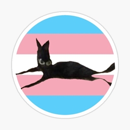 We're gay and no we're not sorry logo