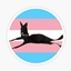 We're gay and no we're not sorry logo