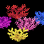 Coral Up logo