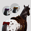 Plaid Horse Bows logo