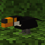 Custom Model Birds logo