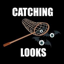 Catching Looks project image