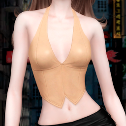 Top leather project image