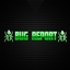 Bug Report Plugin