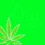 WorkingDrugs logo