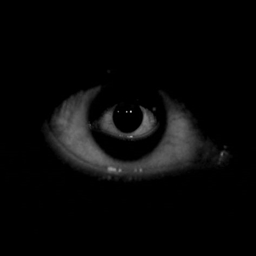 Horror max logo