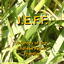 J.E.F.F. logo