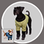 Big & Small Basic Dog Sweaters - [ Cats & Dogs ] logo
