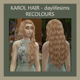 Karol Hair Recolours logo