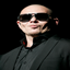 Pitbull logo