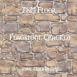 TSM Floor Flagstone  Cracked