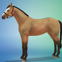 Dun Horse Markings Stencil logo