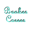 Losti's Banker Career logo