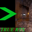 TRUE RTX logo