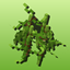 Sugar Cane update logo