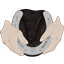 Jibs Farrier Deco logo