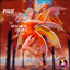PIXIE QUEEN FAIRY WINGS logo